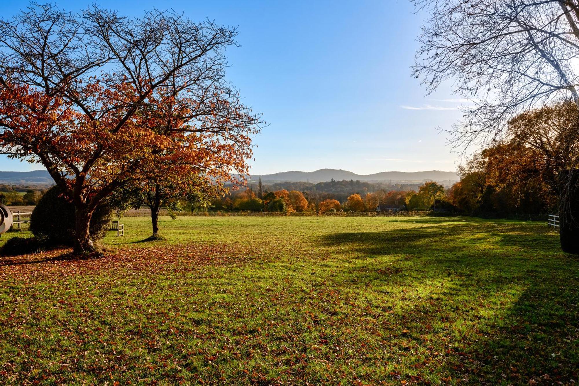 Appartement Garden Flat Near Goodwood With Stunning Views à Petersfield Extérieur photo
