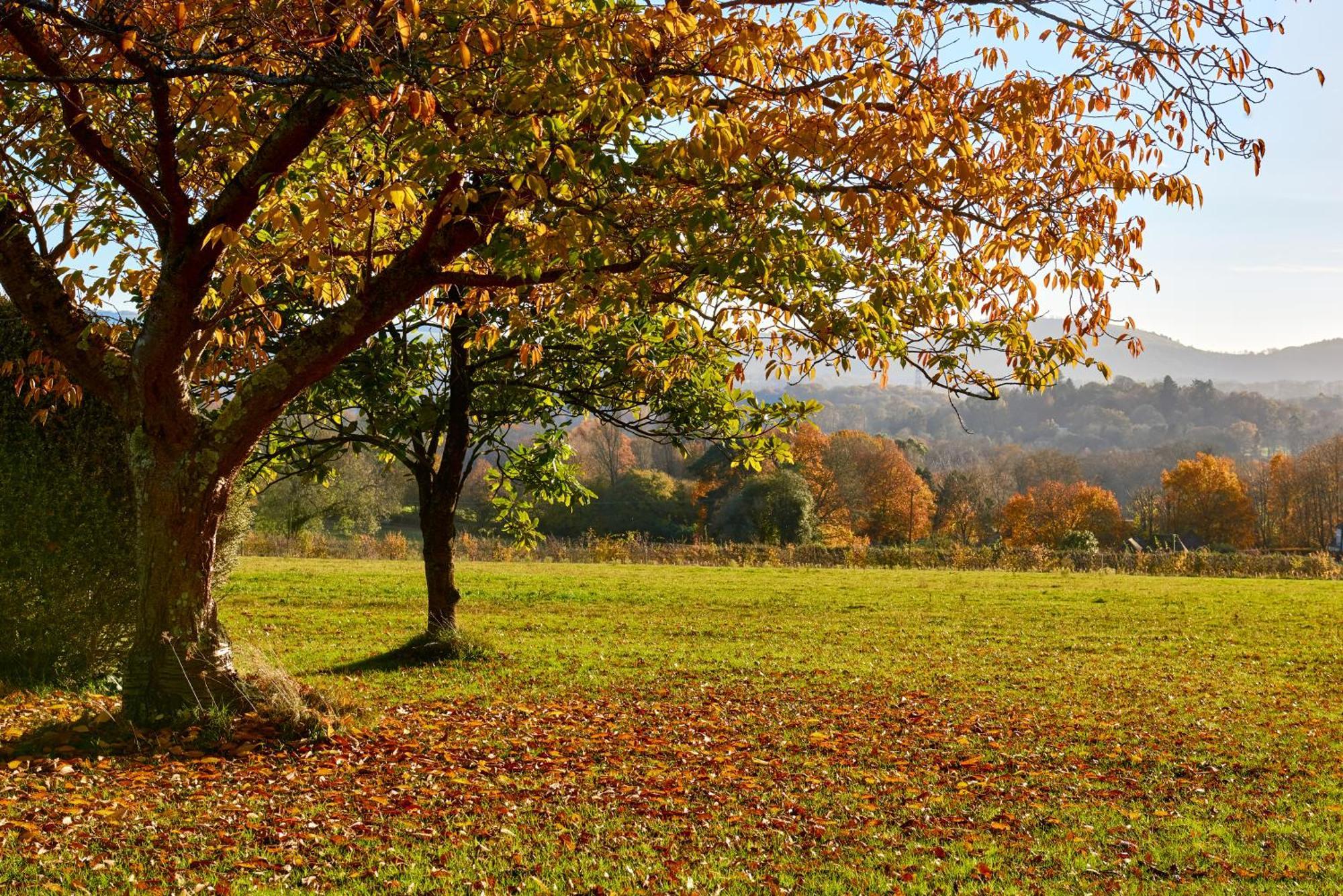 Appartement Garden Flat Near Goodwood With Stunning Views à Petersfield Extérieur photo